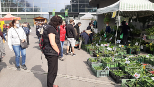 Na Floře probíhají Zahradnické trhy