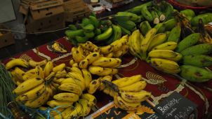 Africké trhy provoněly centrum Olomouce