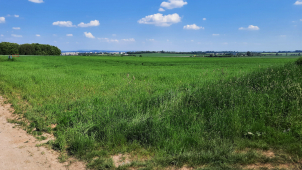 ŘSD začalo vykupovat pozemky pro dokončení obchvatu Olomouce