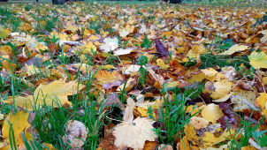 Počasí o víkendu? Teploty vyšplhají až k deseti stupňům Celsia