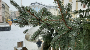 Den plný tradic, 24. prosinec. Znáte je všechny?