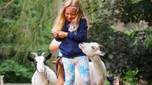 Olomoucká zoo počítá zvířata. Zapojit se můžete i vy!