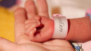 V nemocnici Šternberk se letos zatím narodilo 591 dětí