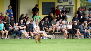 Program sportovních akcí na Olomoucku