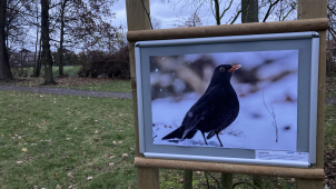 Ve velkobystřickém parku vás čeká výstava ptáků