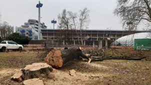 Obnova ASO parku v Olomouci začala úpravou zeleně