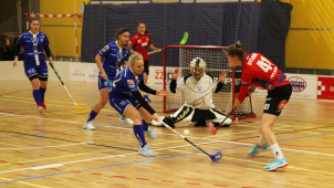 Florbalová sezona 2019/2020 byla ukončena