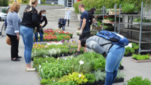 Květiny i zelenina: Zahradnické trhy na Floře už v sobotu
