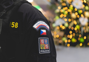 Recidivisté kradli zlato i rukavice