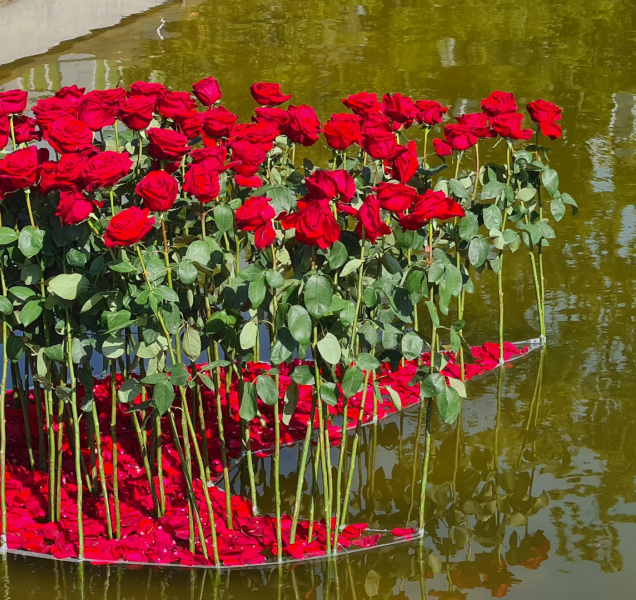 Vyznání růžím do Rozária přilákalo davy