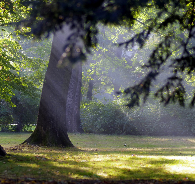 Teploty v kraji se přiblíží ke třicítce