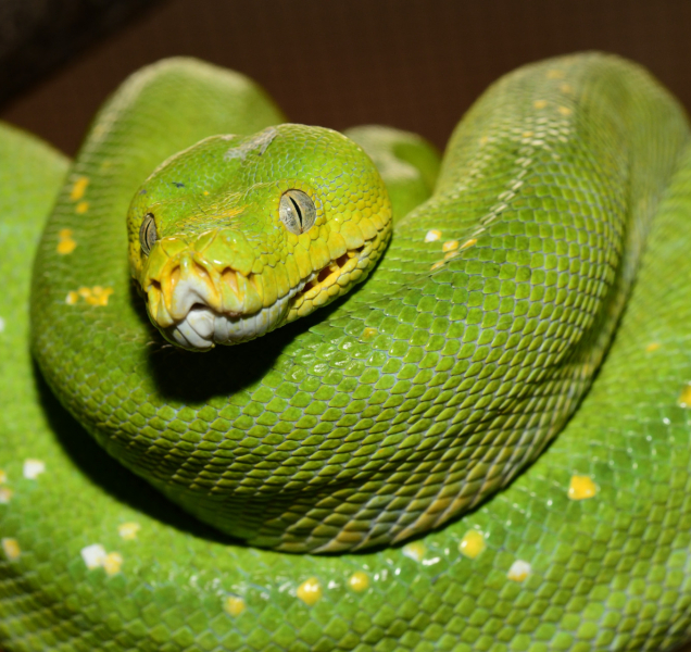 Olomoucká zoo má nová terária