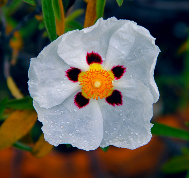 Výhled počasí na příští dny: V kraji se ochladí