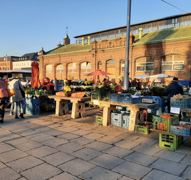 Benýšek olomouckou tržnici nedostane, provoz zajistí Flora
