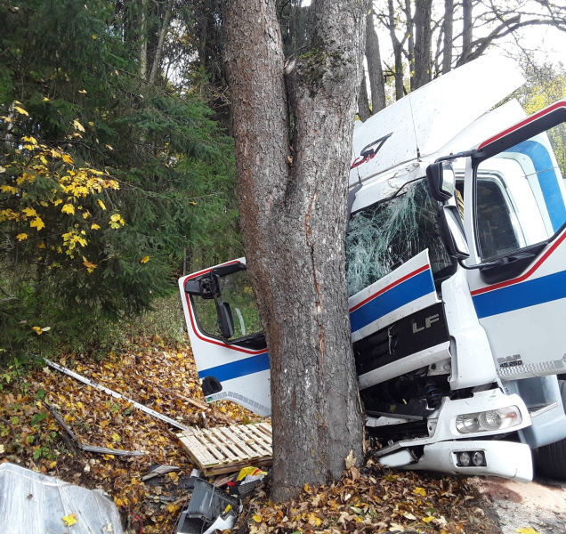 Kyselina sírová vytekla do příkopu v lese