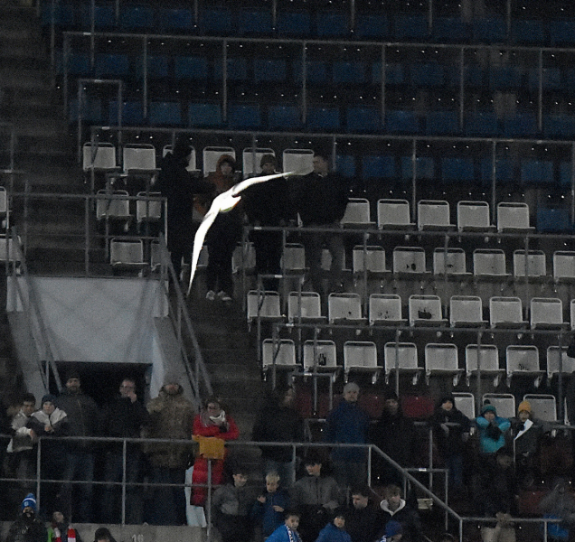 Program sportovních akcí na Olomoucku