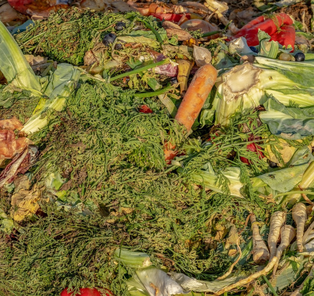 V kraji se rozjíždí třídění odpadů z kuchyní a prošlých potravin