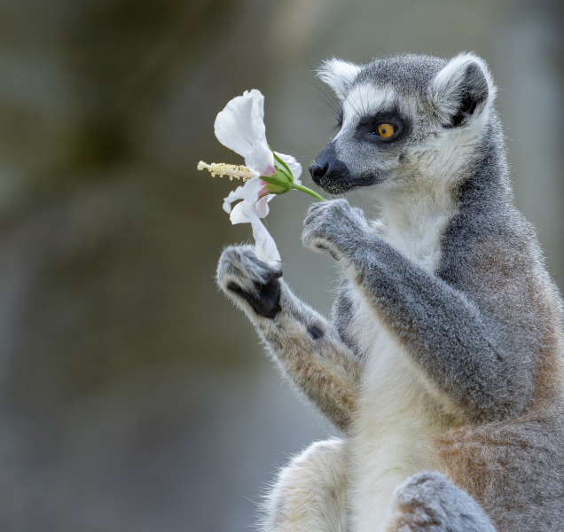 Fotografická výstava mapuje práci ošetřovatelů a chovatelů v zoo