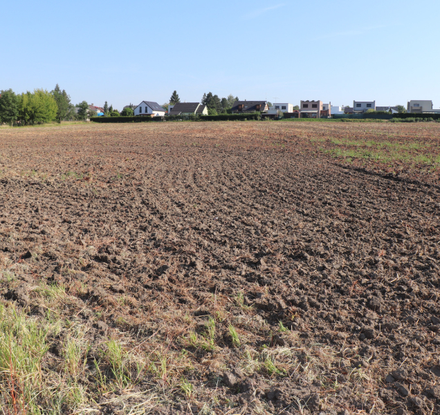 Města se chtějí zbavit zahrádkářských kolonií, Přerov staví novou