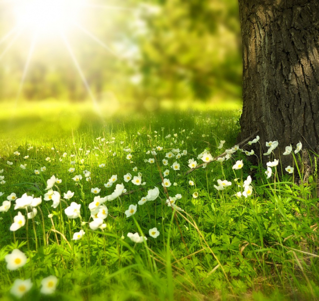 Čeká nás teplý víkend, ideální na výlety