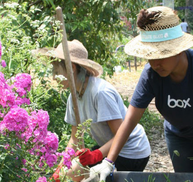 Radnice slíbila zahrádkářům pachtovní smlouvy, nejsou