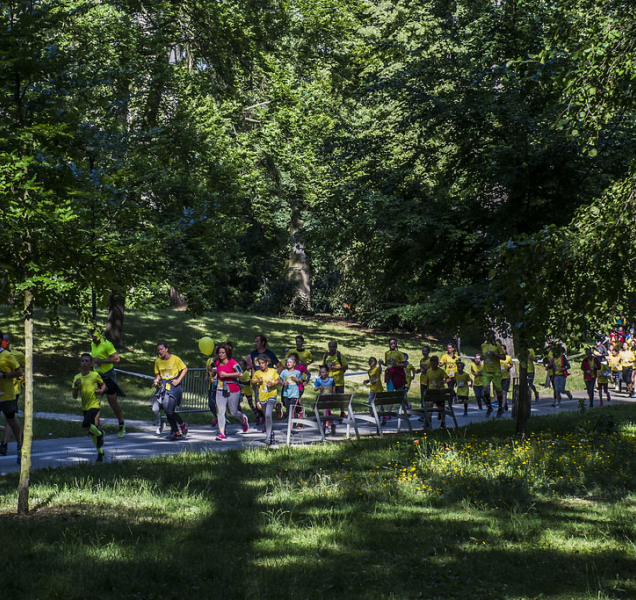Rachik se požene za dalším vítězstvím před Dauhá