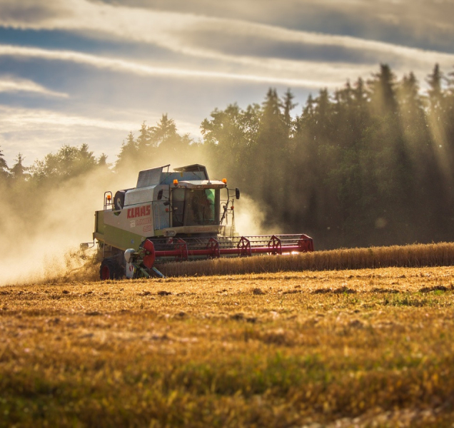 Intenzivnější zemědělství uškodí méně, než rozšiřování polí