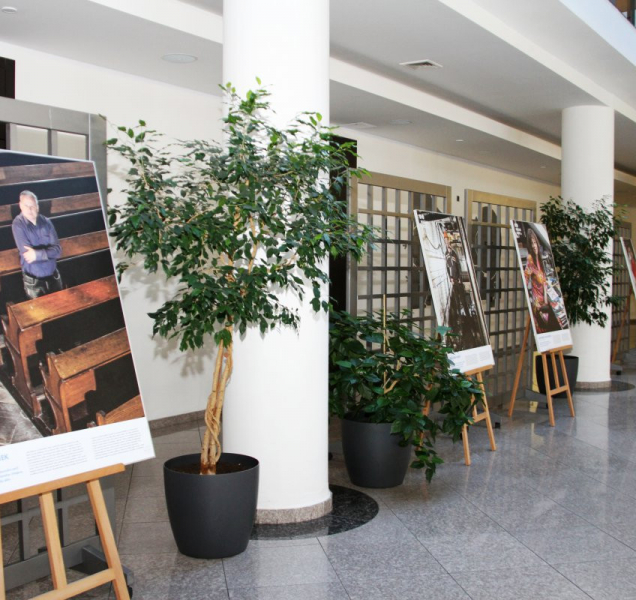 Výstava ukazuje příběhy lidí, kteří se stali pěstouny