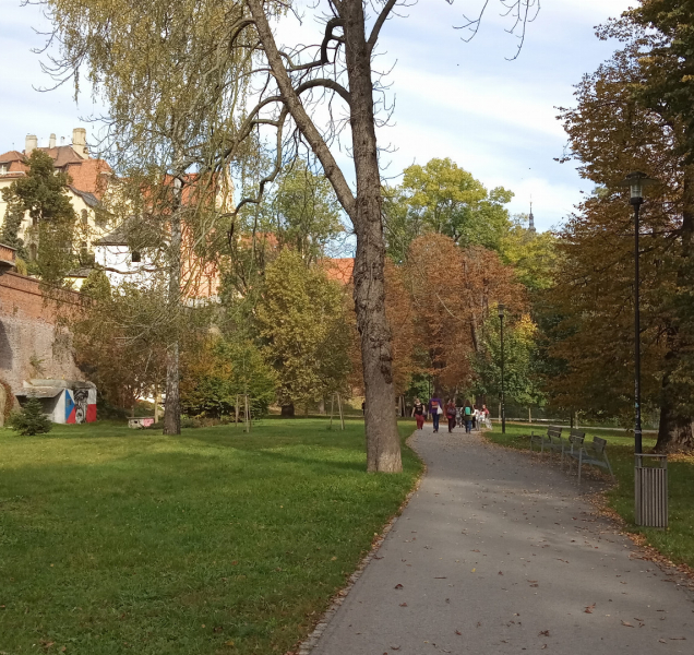 Dvacítky vydrží i začátkem nového pracovního týdne