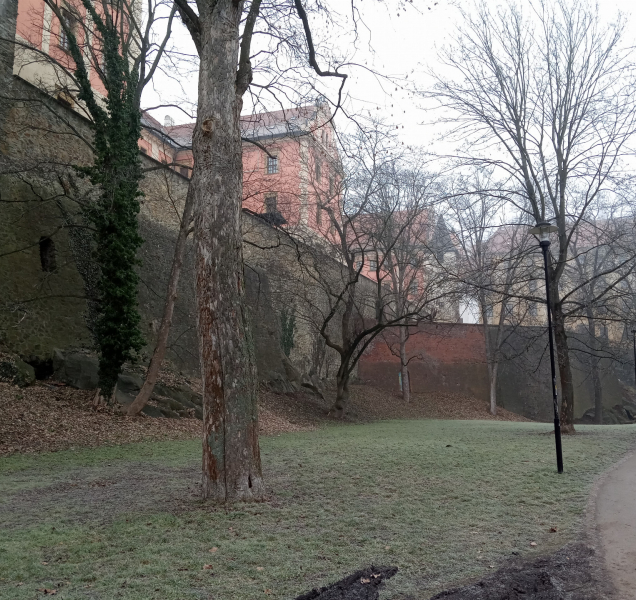 Neděle přinese zatažené počasí se sněhem