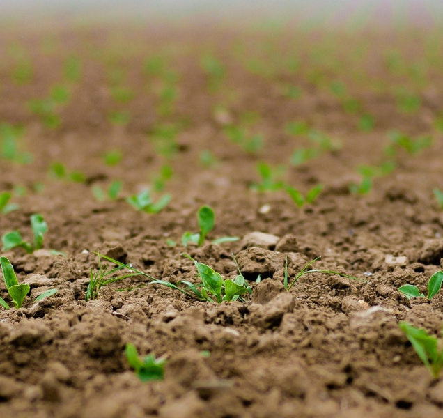 Odpůrci záboru orné půdy znovu protestovali