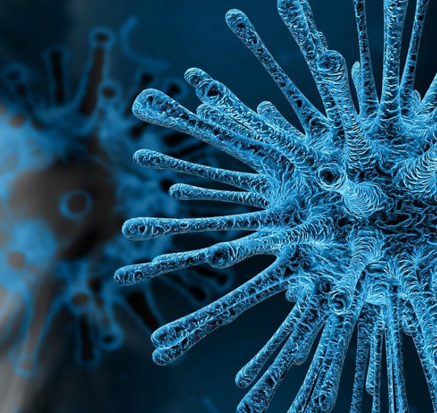 V kraji je další nakažený. Stav Japonce se zhoršil