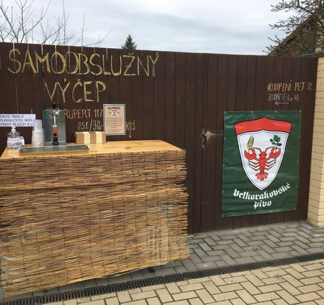 Čepované pivo táhne i během koronavirových opatření