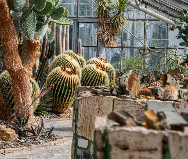 Sbírkové skleníky ve Smetanových sadech se znovu otevřou